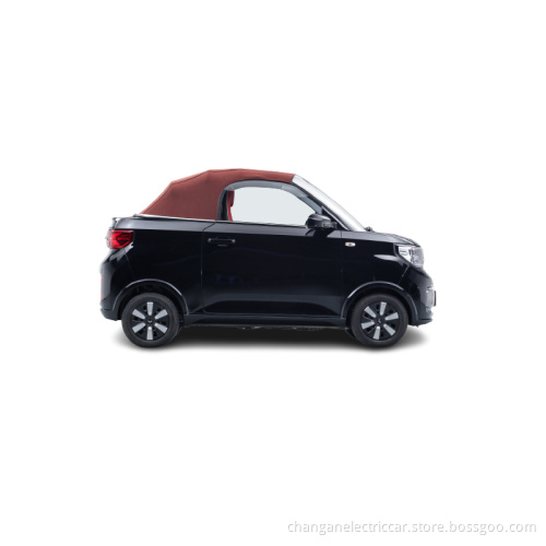 Wuling New Energy Hongguang MINIEV